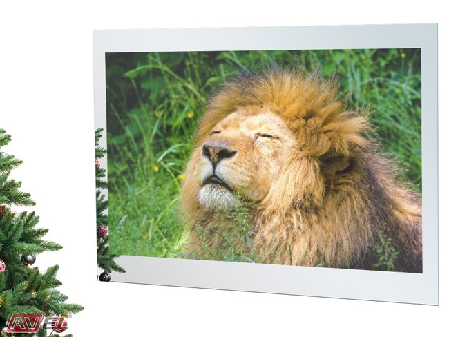 AVEL mirror TV showing a lion