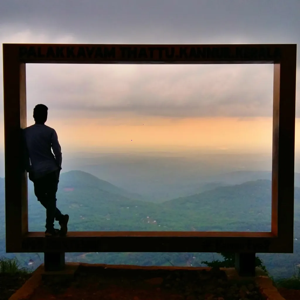 TV Picture