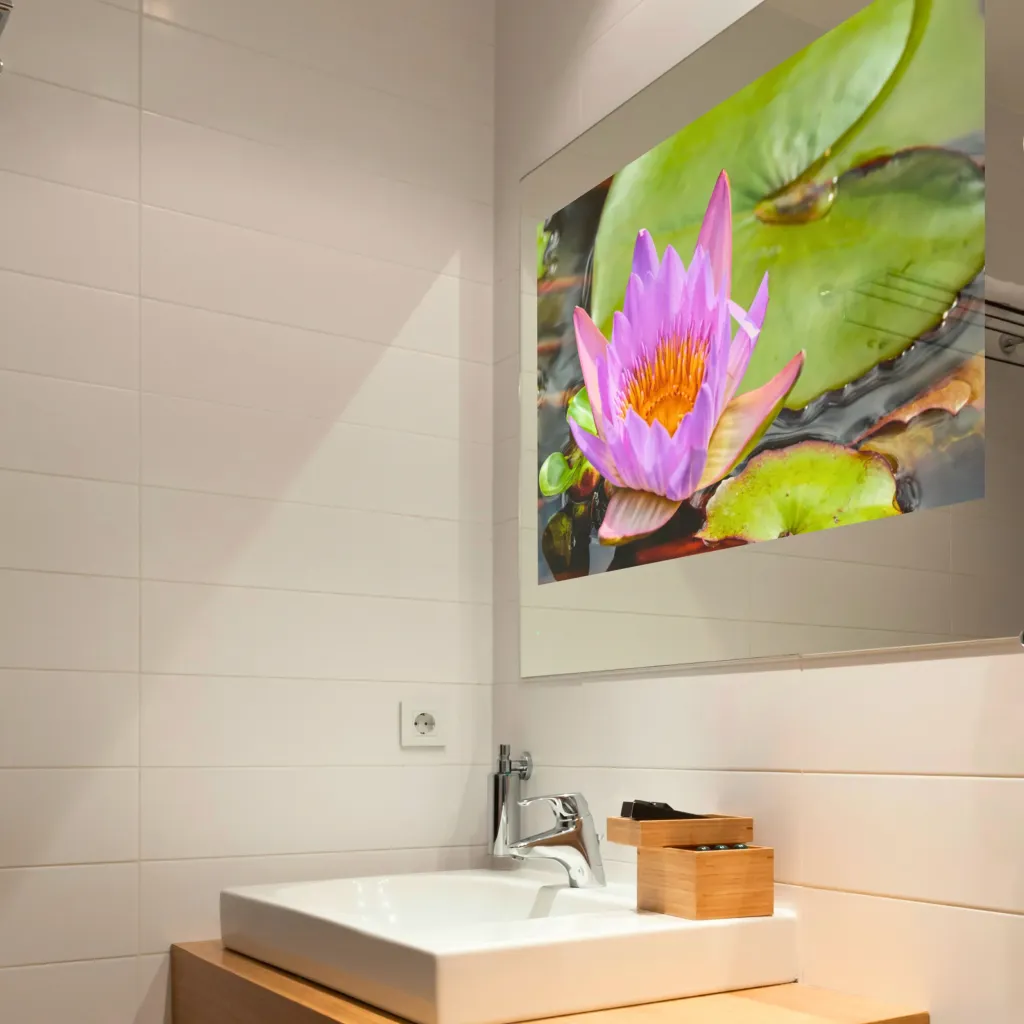 Replace your bathroom mirror with a bathroom tv